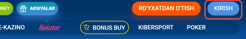 Sayt shapkasidagi ko'k Kirish tugmasi