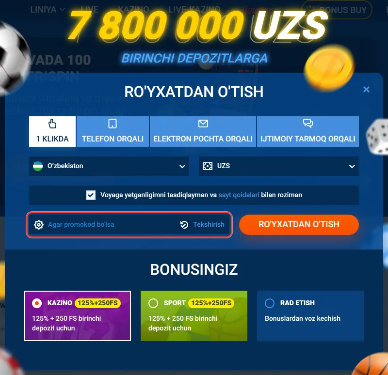 Promokod kiritish maydoni va Tekshirish tugmasi